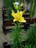 [1602 FataMorgana No02.JPG]